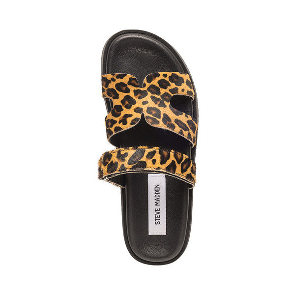 Missile L Sandal LEOPARD Steve Madden Europe