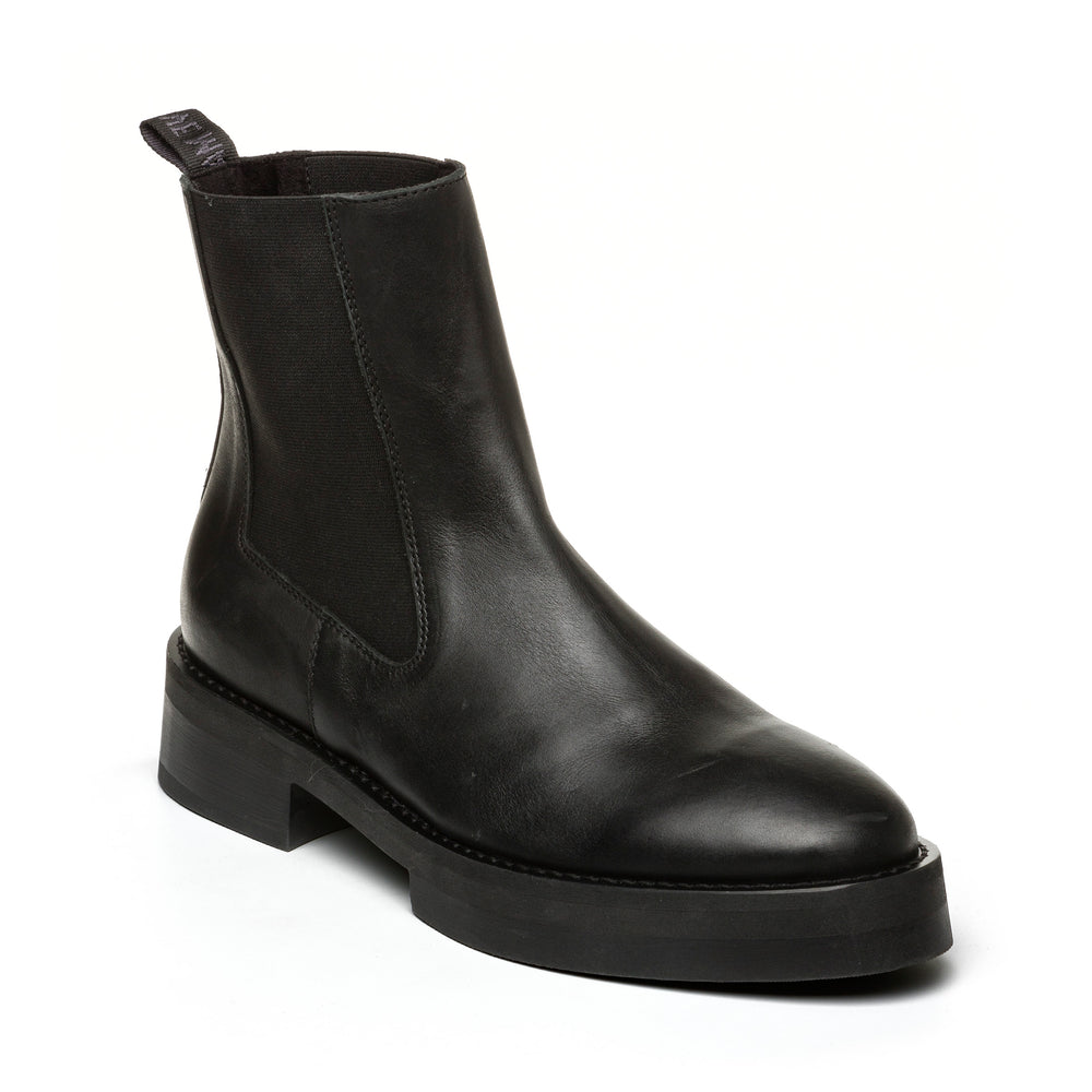 Steve Madden Monte Bootie BLACK LEATHER Ankle boots All Products